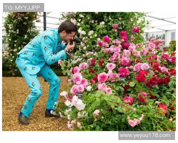 切尔西花展盛况空前各国园艺师齐聚展现花卉艺术之美