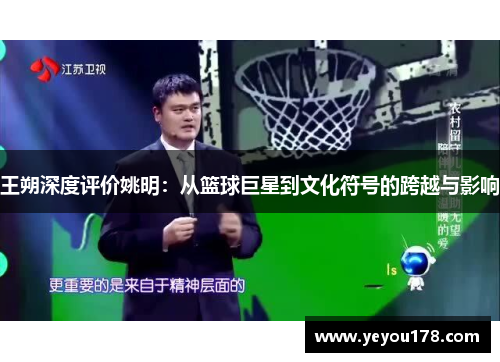 王朔深度评价姚明：从篮球巨星到文化符号的跨越与影响